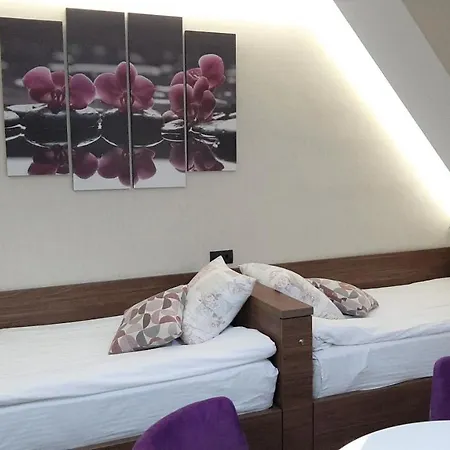 Select Lux Angella-konaci Apartment Kopaonik