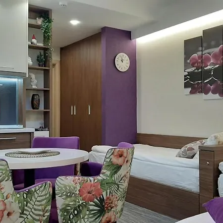 아파트 Select Lux Angella-konaci 카파오닉