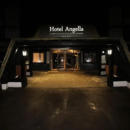 Select Lux Angella-konaci Apartment Kopaonik