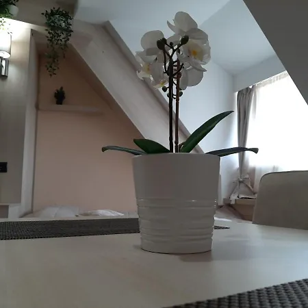 Apartment Select Lux Angella-konaci Kopaonik
